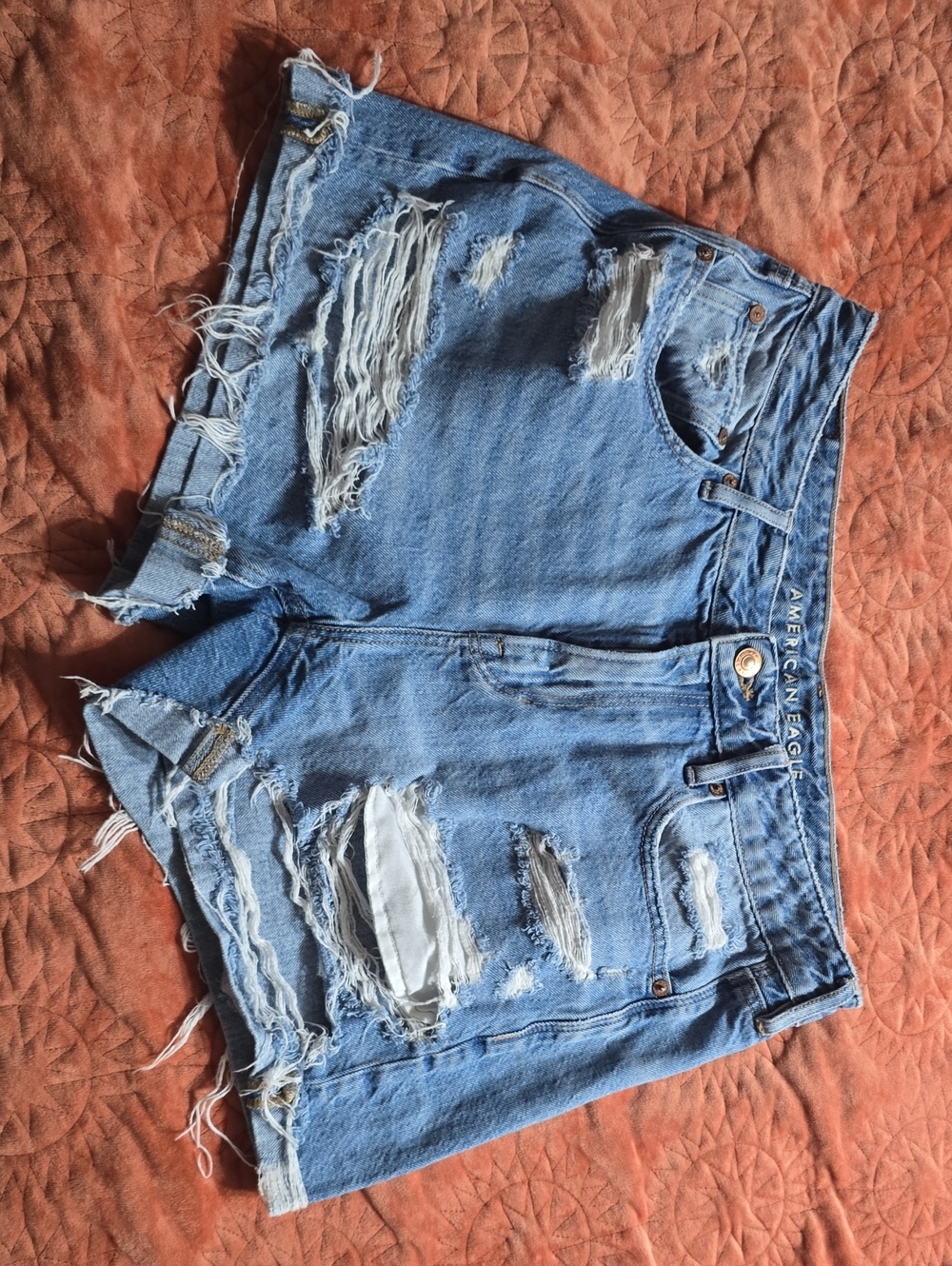 American Eagle Outfitters Distressed Light Blue Denim Shorts